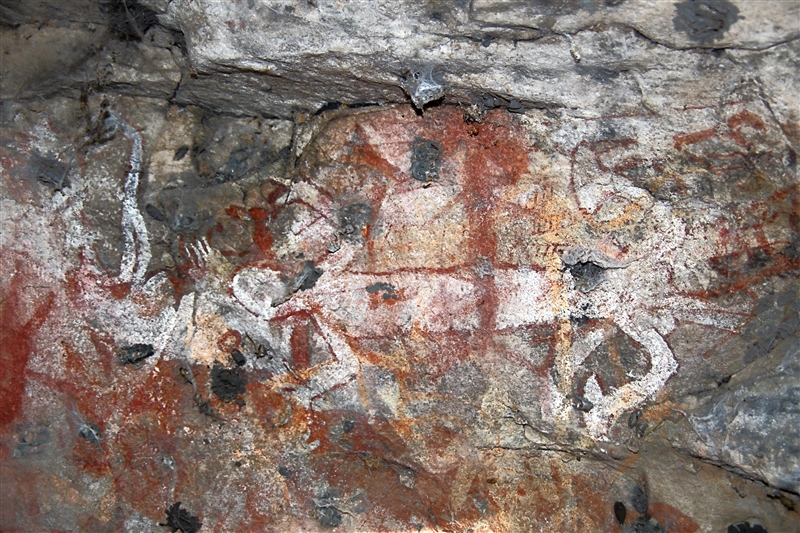 _800Mt Borradaile - Cooper Creek_5732_m - Copy